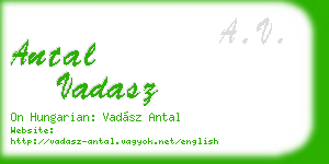 antal vadasz business card